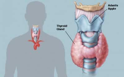 THYROID CHECKUP